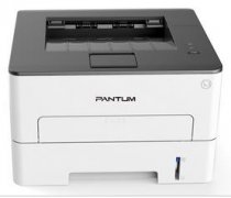 <b>奔图Pantum P3019DW 打印机驱动</b>